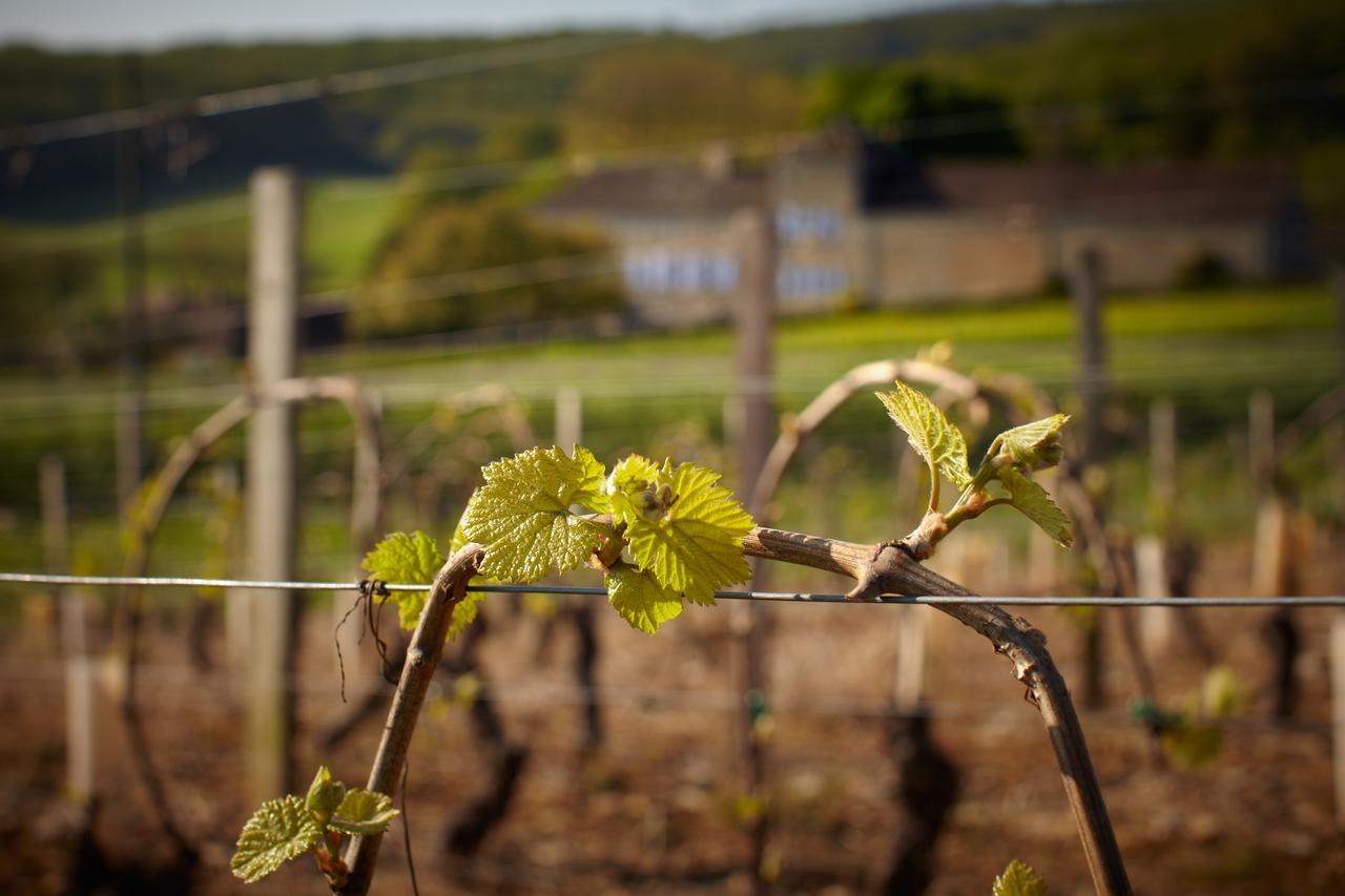 Les Maisons Vigneronnes Ozenay 외부 사진